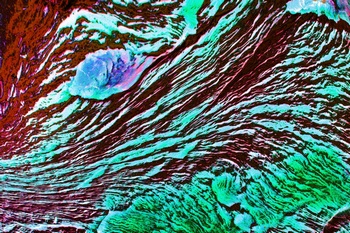 AP 113A1